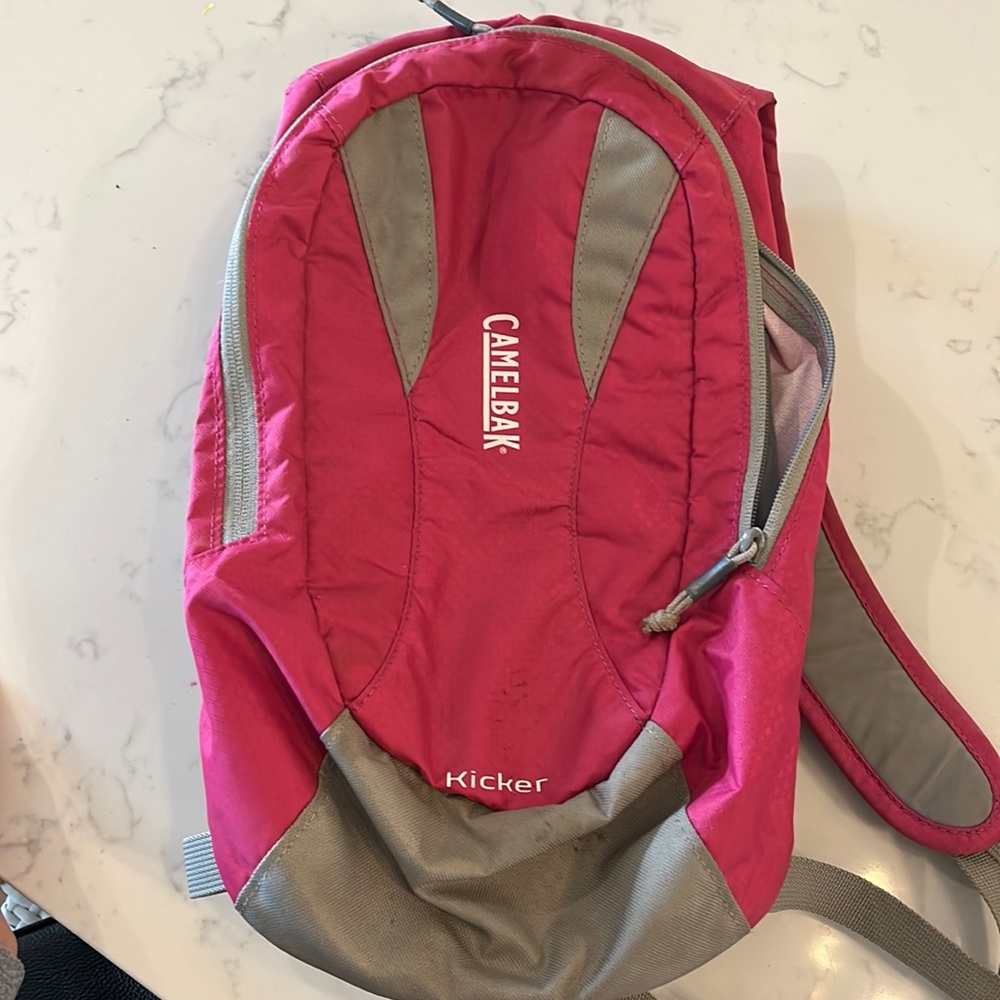 Camelback Hot Pink Backpack